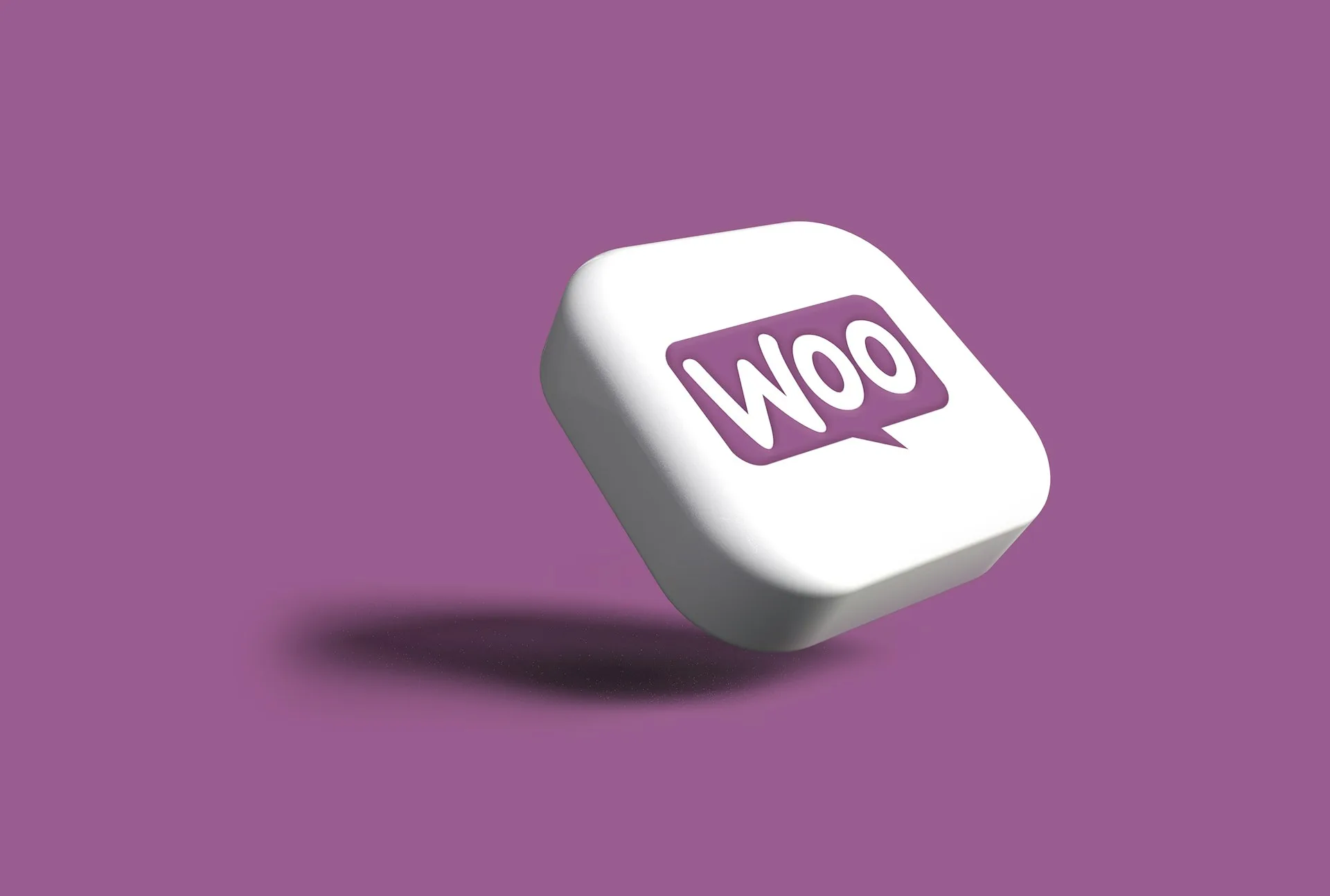 WooCommerce webshop dashboard met producten en analytics